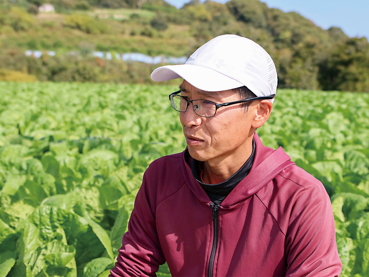 野菜作りについて話す藤岡さん