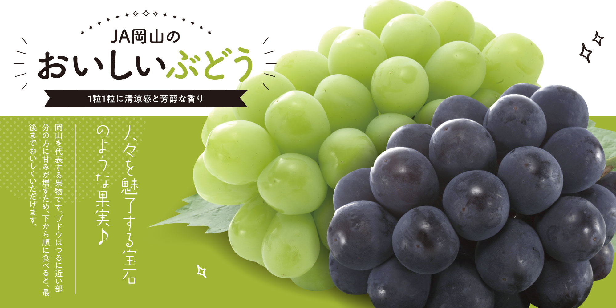ぶどう